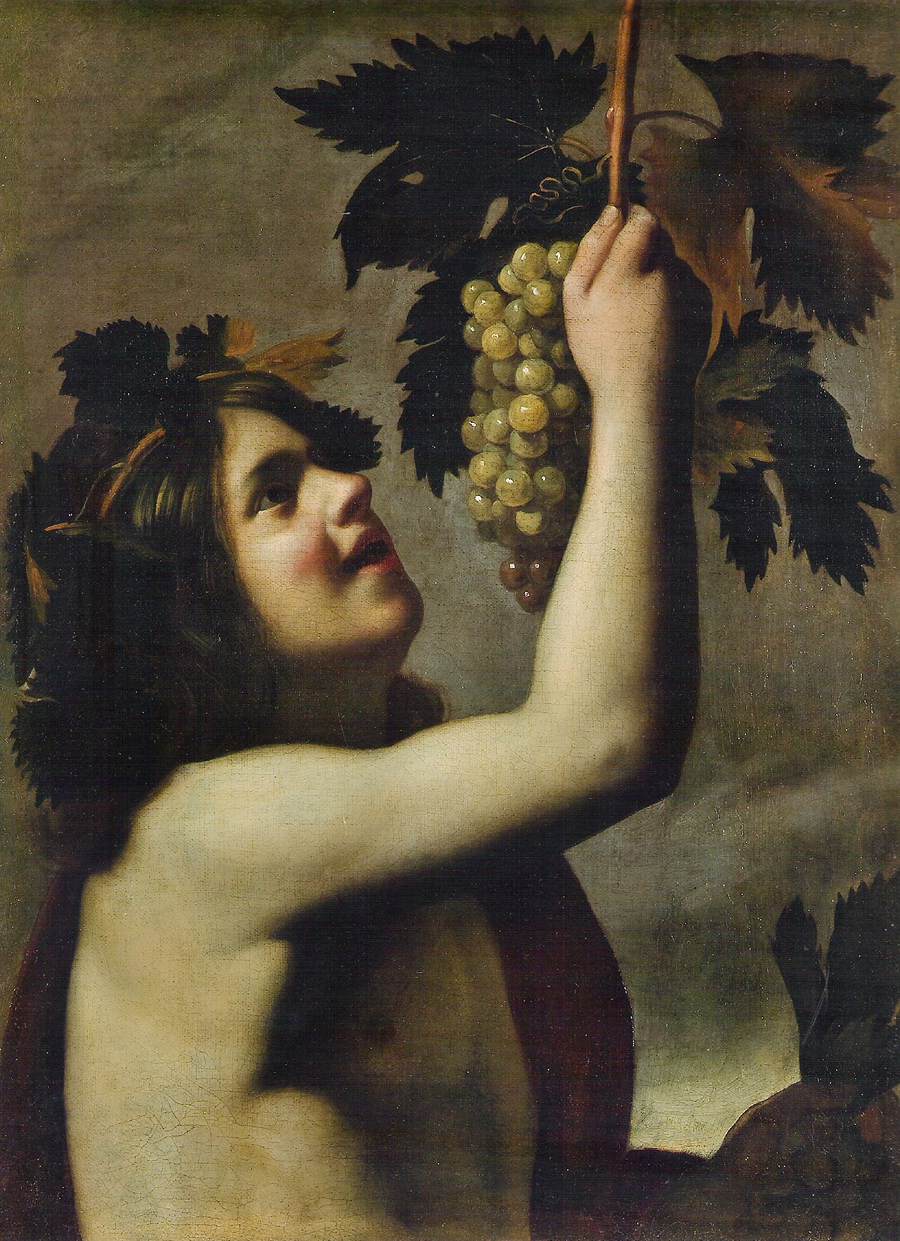 The Young Bacchus by