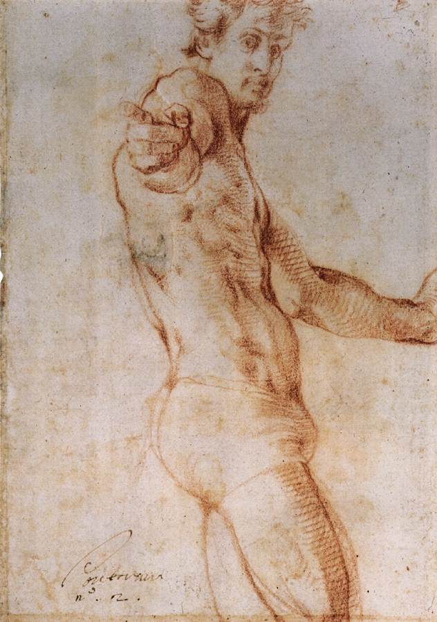 Self-Portrait (recto) by PONTORMO, Jacopo