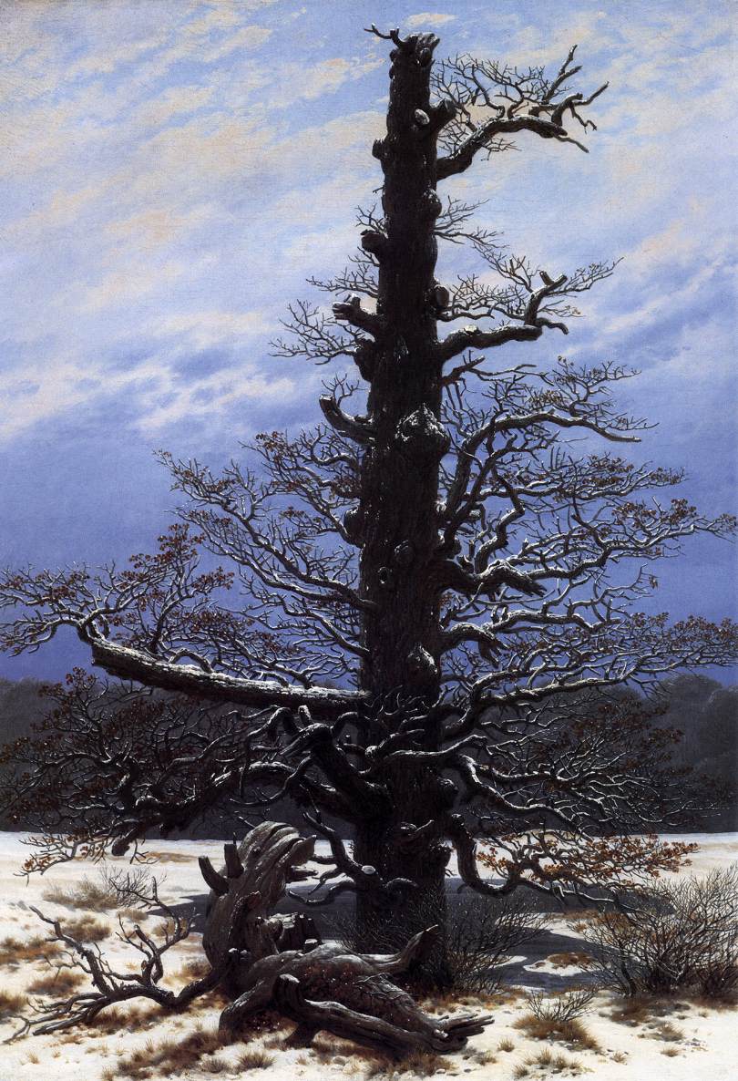 The Oaktree in the Snow by