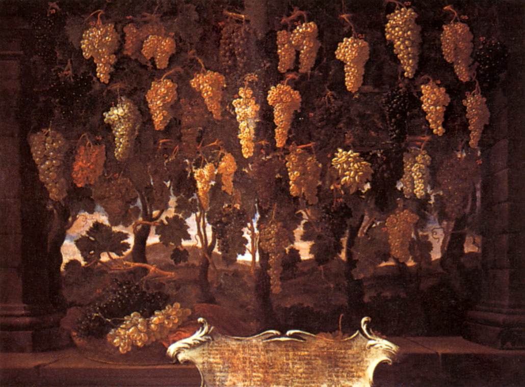 Grapes by BIMBI, Bartolomeo