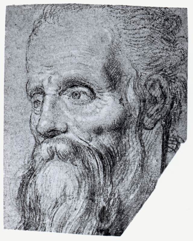 Head of an Old Bearded Man by PETERZANO, Simone