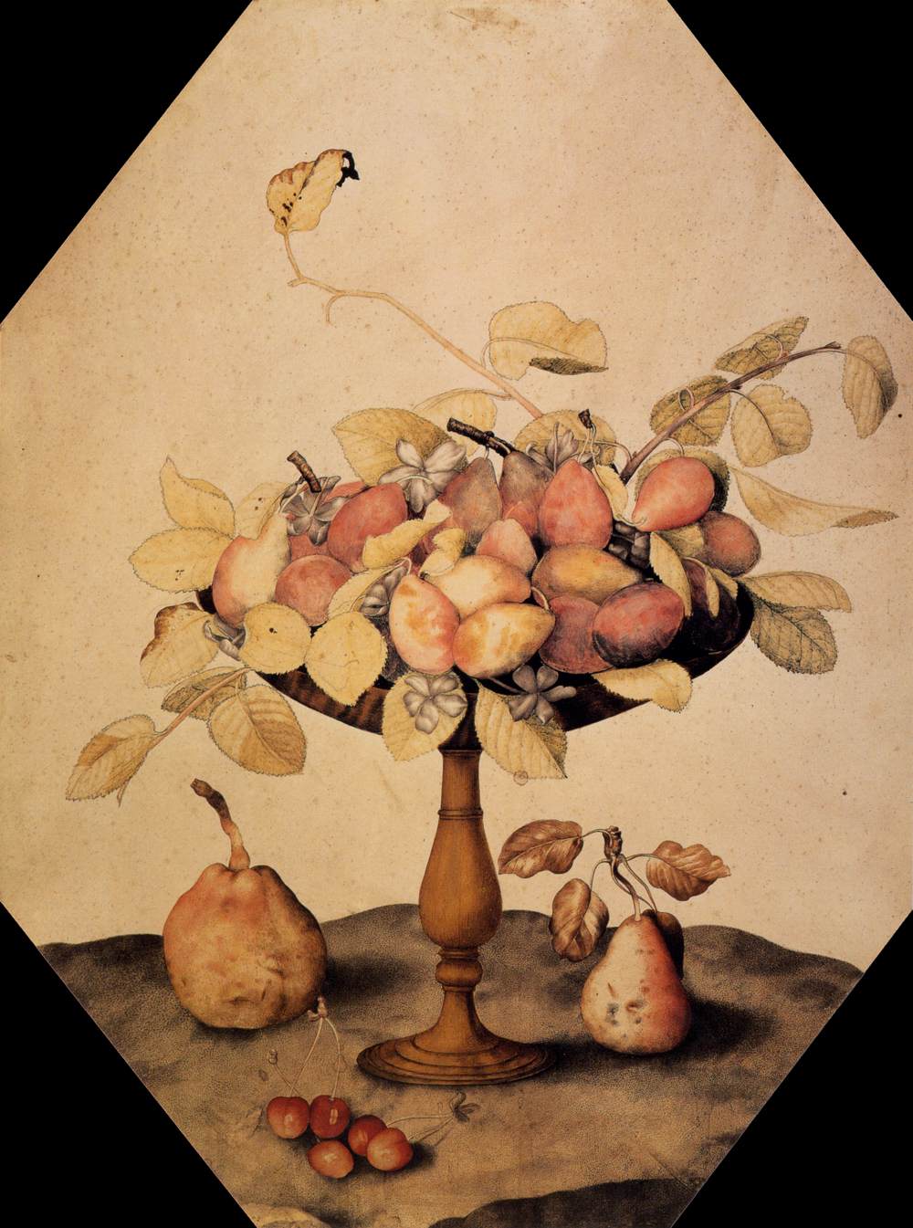 Bowl with Plums by GARZONI, Giovanna