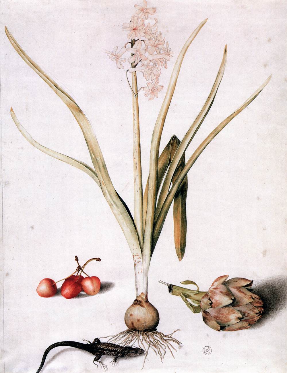 Hyacinth with Four Cherries, a Lizard, and an Artichoke by