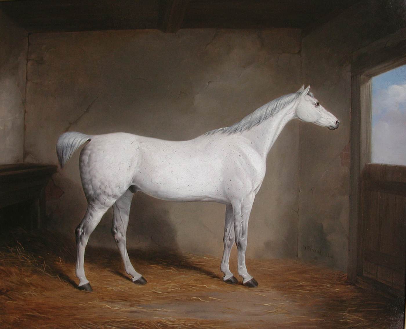 A Grey in a Stable by