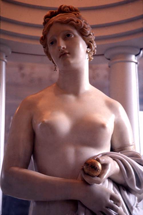 The 'Tinted Venus' (detail) by GIBSON, John