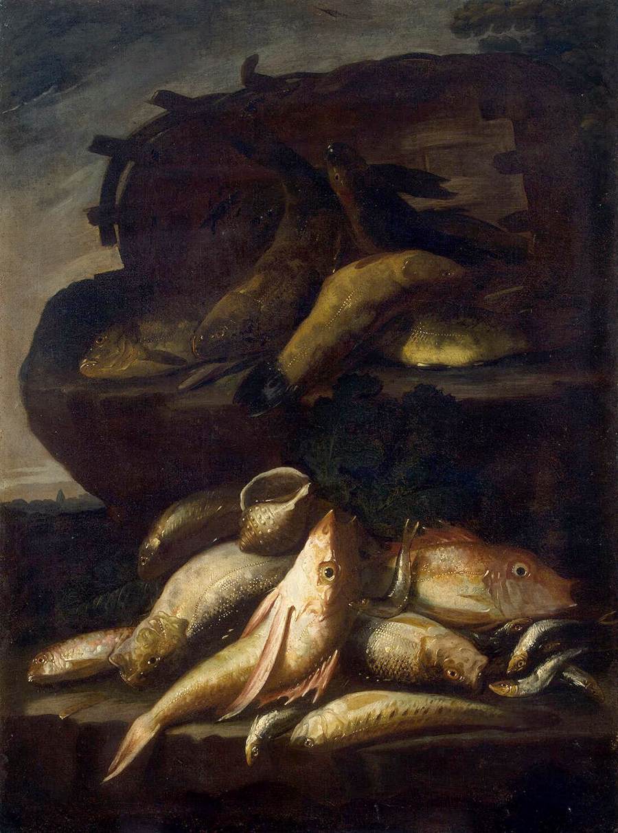 Still-Life with Fish and a Shell by RECCO, Giuseppe