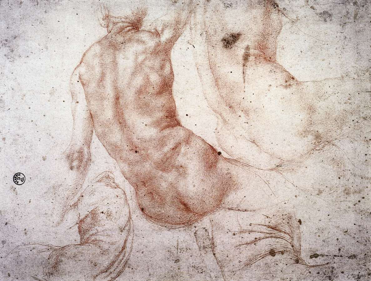 Seated Nude with Raised Arm by