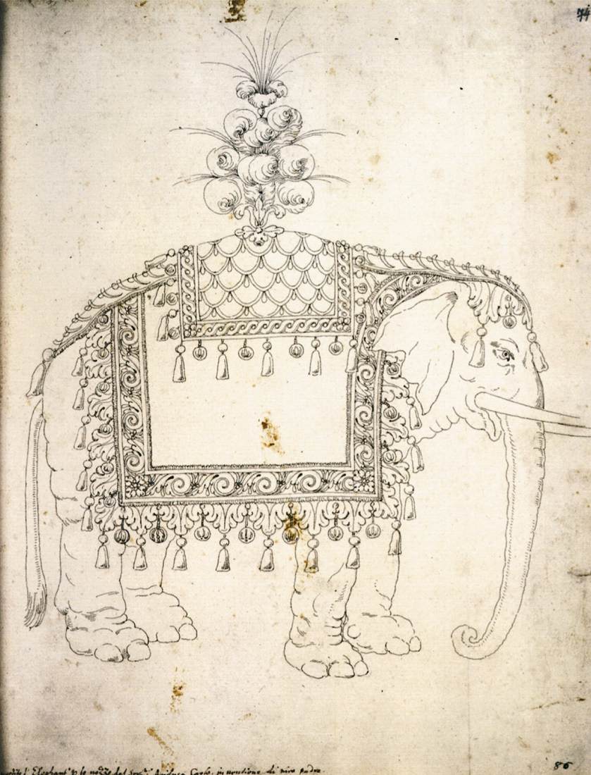 Sketch for the Trappings of an Elephant by STRADA, Jacopo