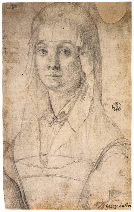 Study of a Woman by PONTORMO, Jacopo