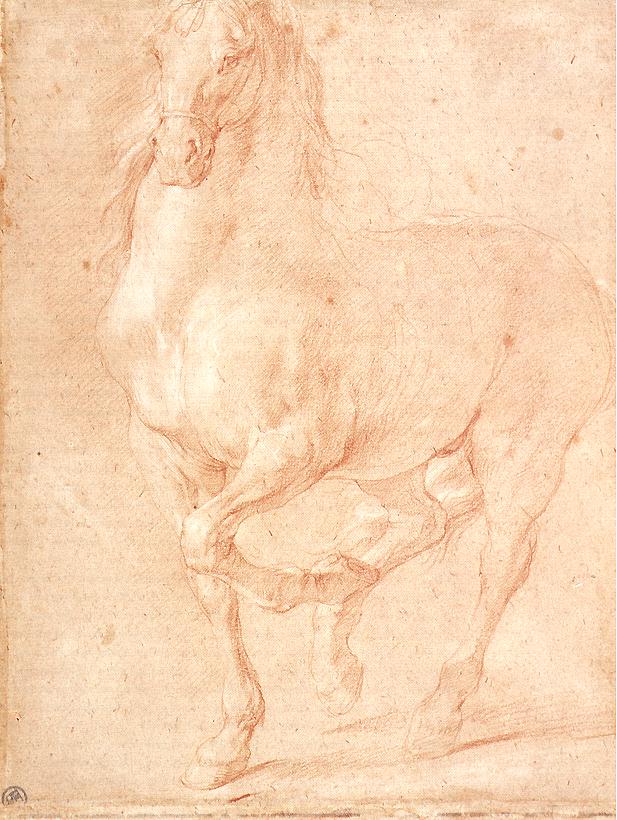 Study of a Horse by