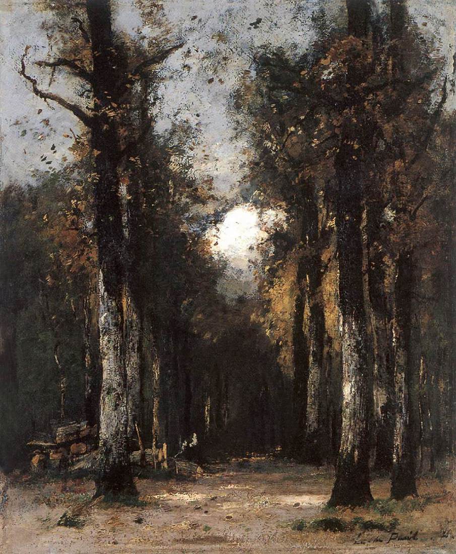 The Depth of the Forest by PAÁL, László