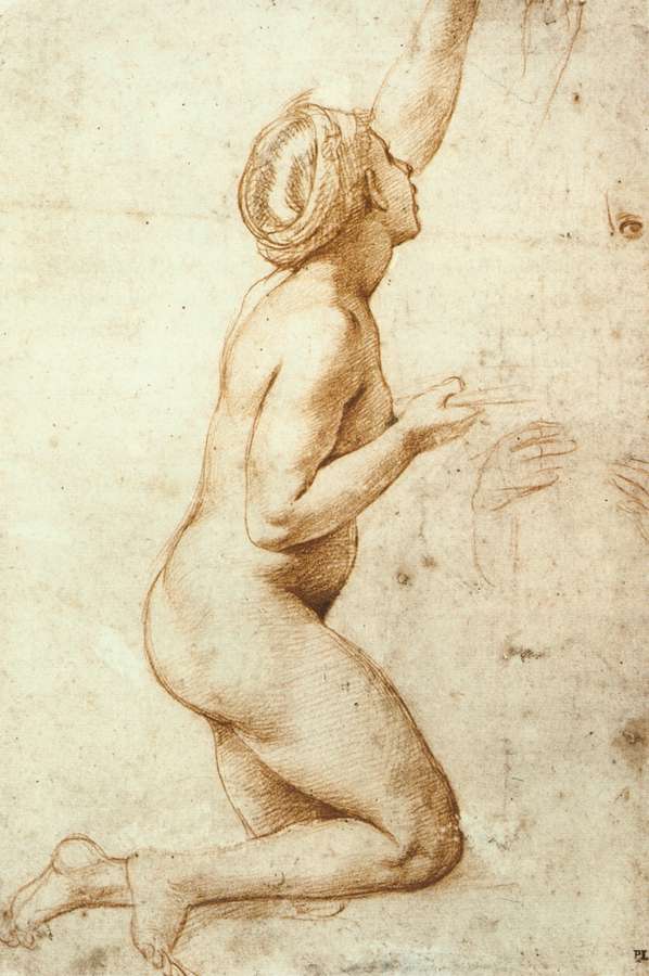 Kneeling Nude Woman by RAFFAELLO Sanzio