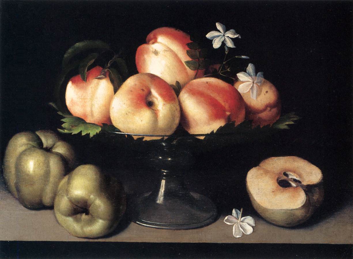 Still-Life by GALIZIA, Fede