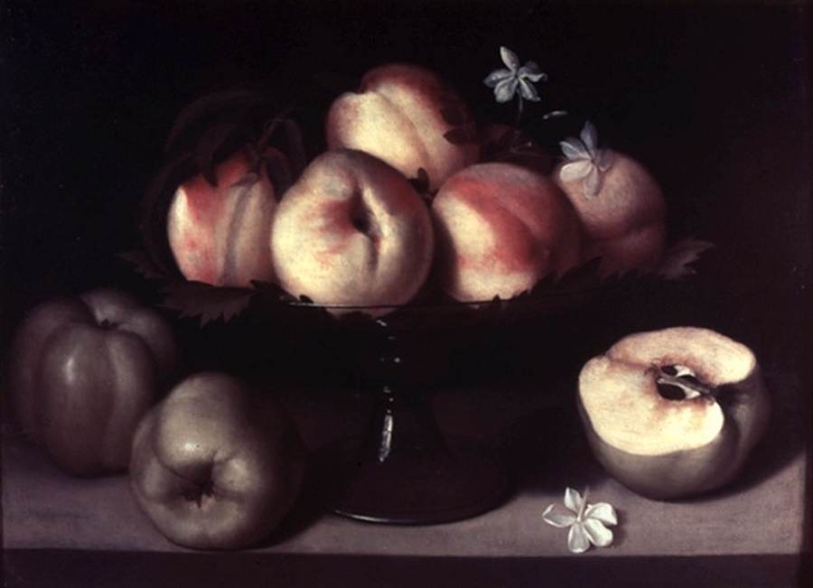 Still-Life by GALIZIA, Fede