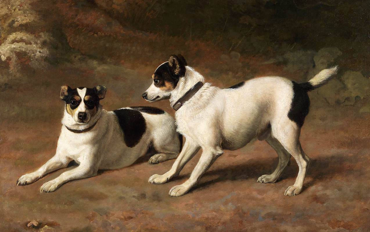 Two Terriers by a Mossy Bank by AGASSE, Jacques-Laurent