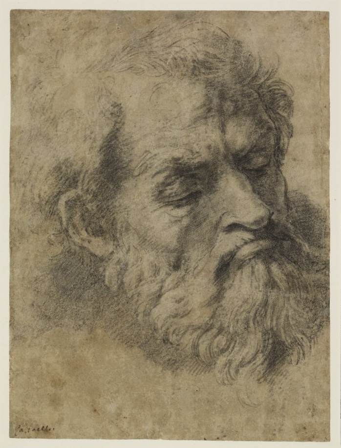 Head of an Apostle by RAFFAELLO Sanzio