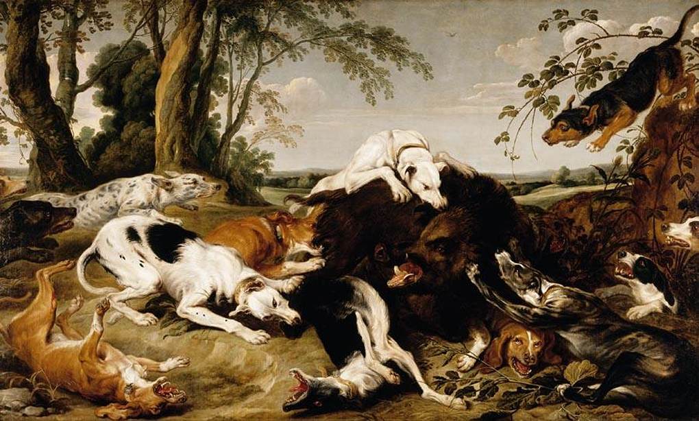 Hounds Bringing down a Boar by SNYDERS, Frans