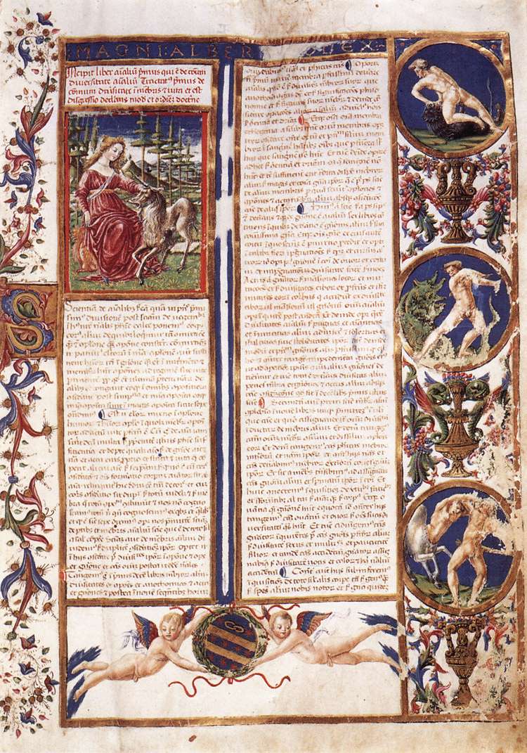 First page of the Codex De Animalibus by