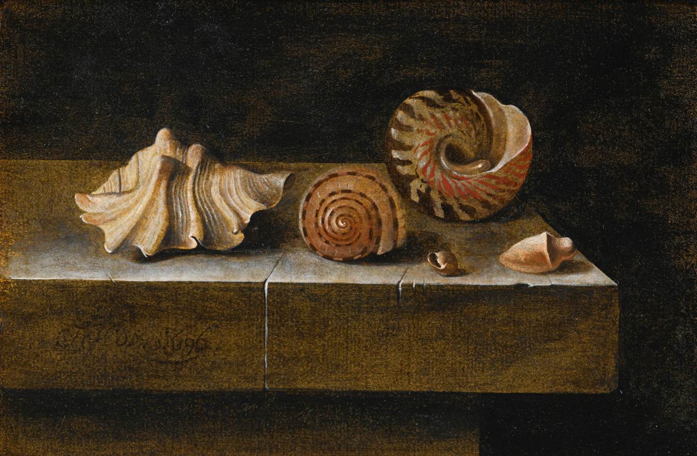 Still-Life with Sea Shells by