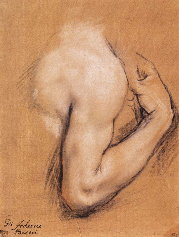 Study of a Bent Right Arm by