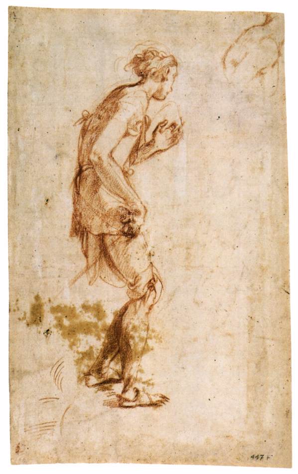 Standing Youth (verso) by PONTORMO, Jacopo