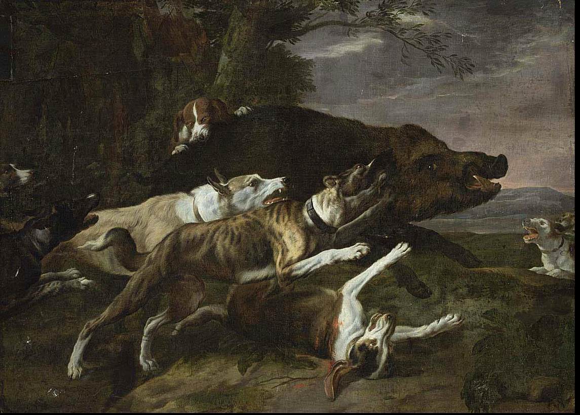 Hounds Assailing a Boar by BOEL, Pieter