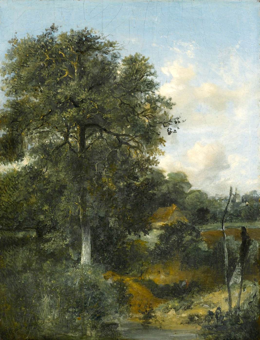 Wooded Landscape with an Oak by