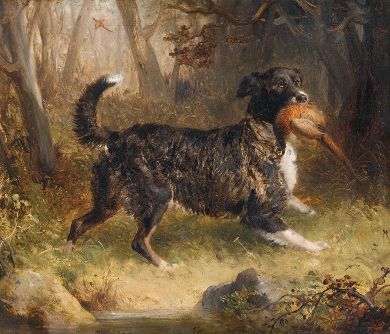 A Setter Retrieving a Cock Pheasant by WOODWARD, Thomas