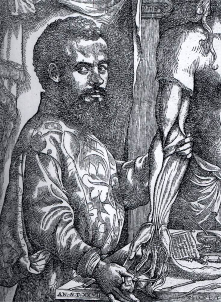 Portrait of Andreas Vesalius by