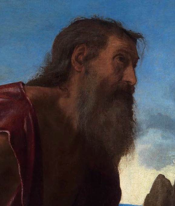 St Jerome (detail) by SAVOLDO, Giovanni Girolamo