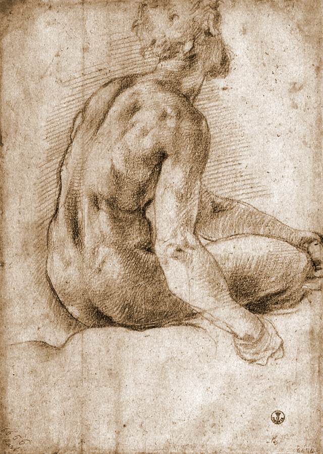 Study of a Nude from Behind (recto) by PONTORMO, Jacopo