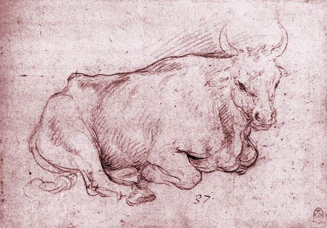 Seated Bull by