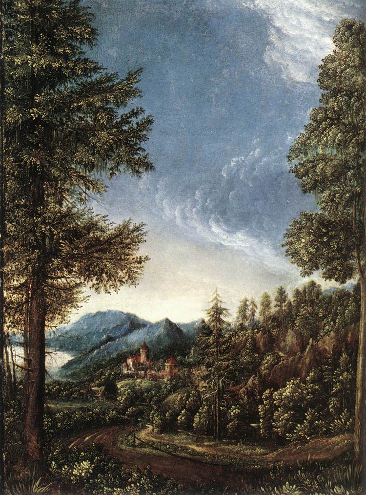 Danubian Landscape by ALTDORFER, Albrecht