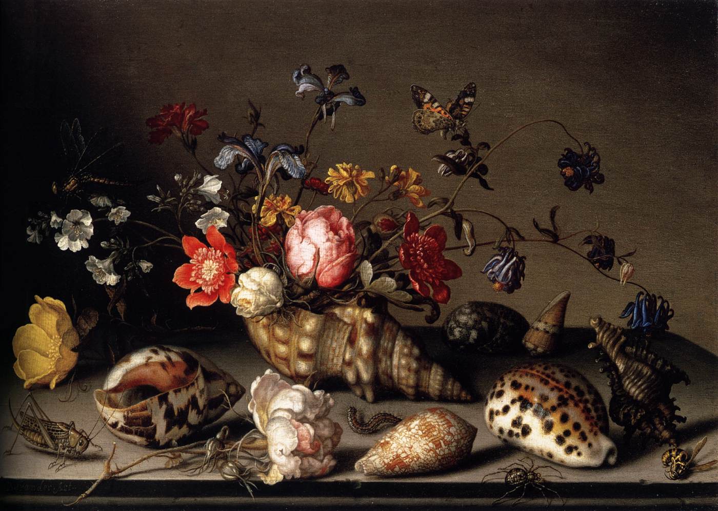 Still-Life of Flowers, Shells, and Insects by