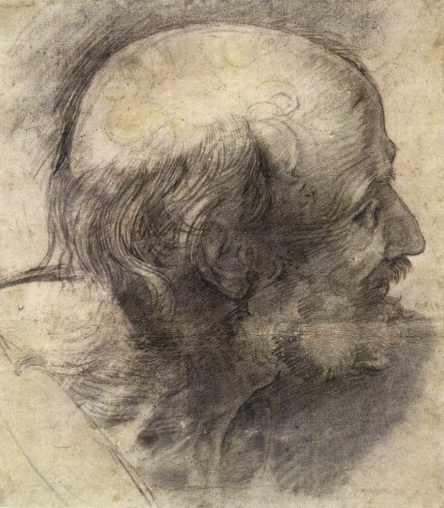 Head of St Andrew by RAFFAELLO Sanzio