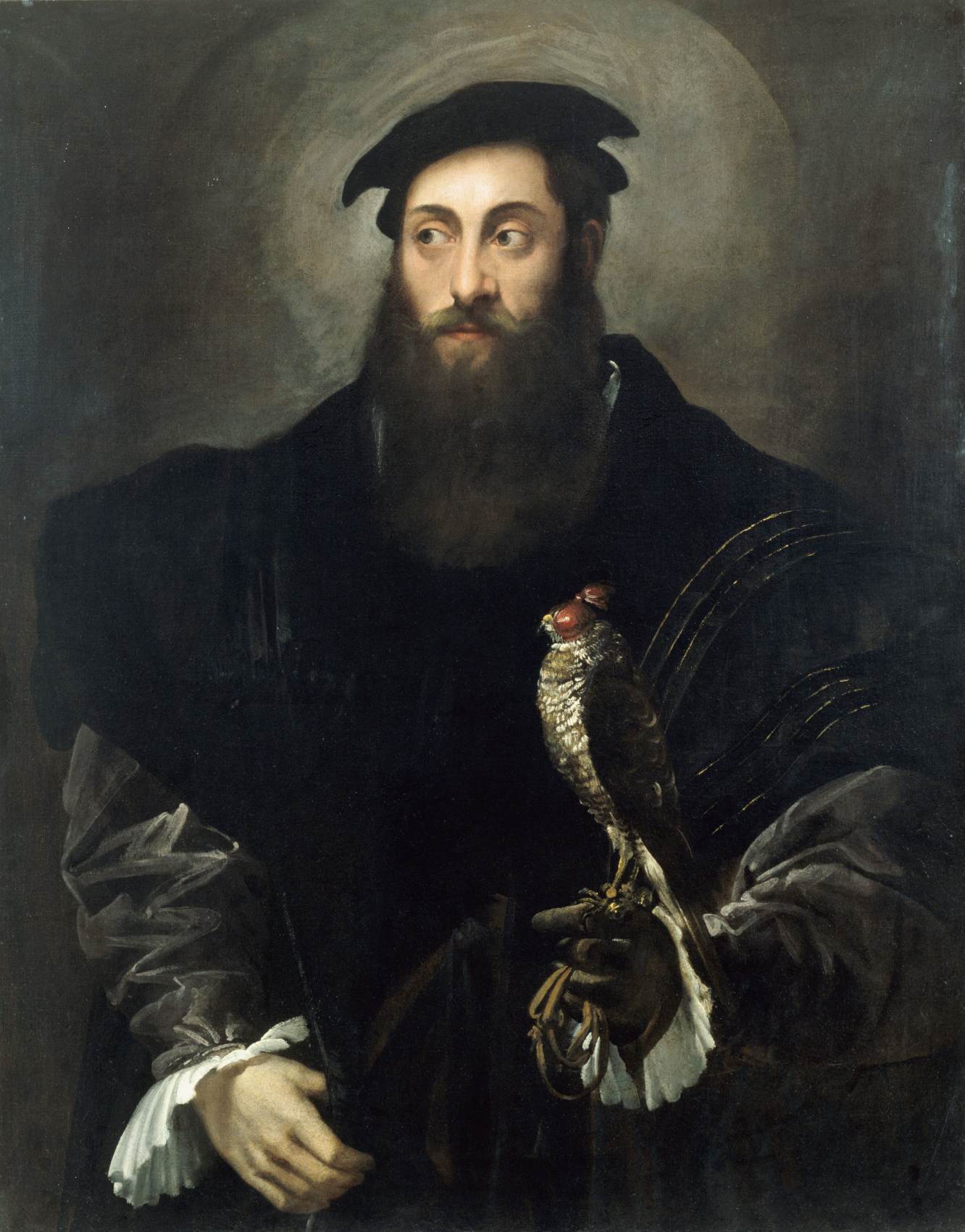 Portrait of a Gentleman with a Falcon by ABBATE, Niccolò dell'