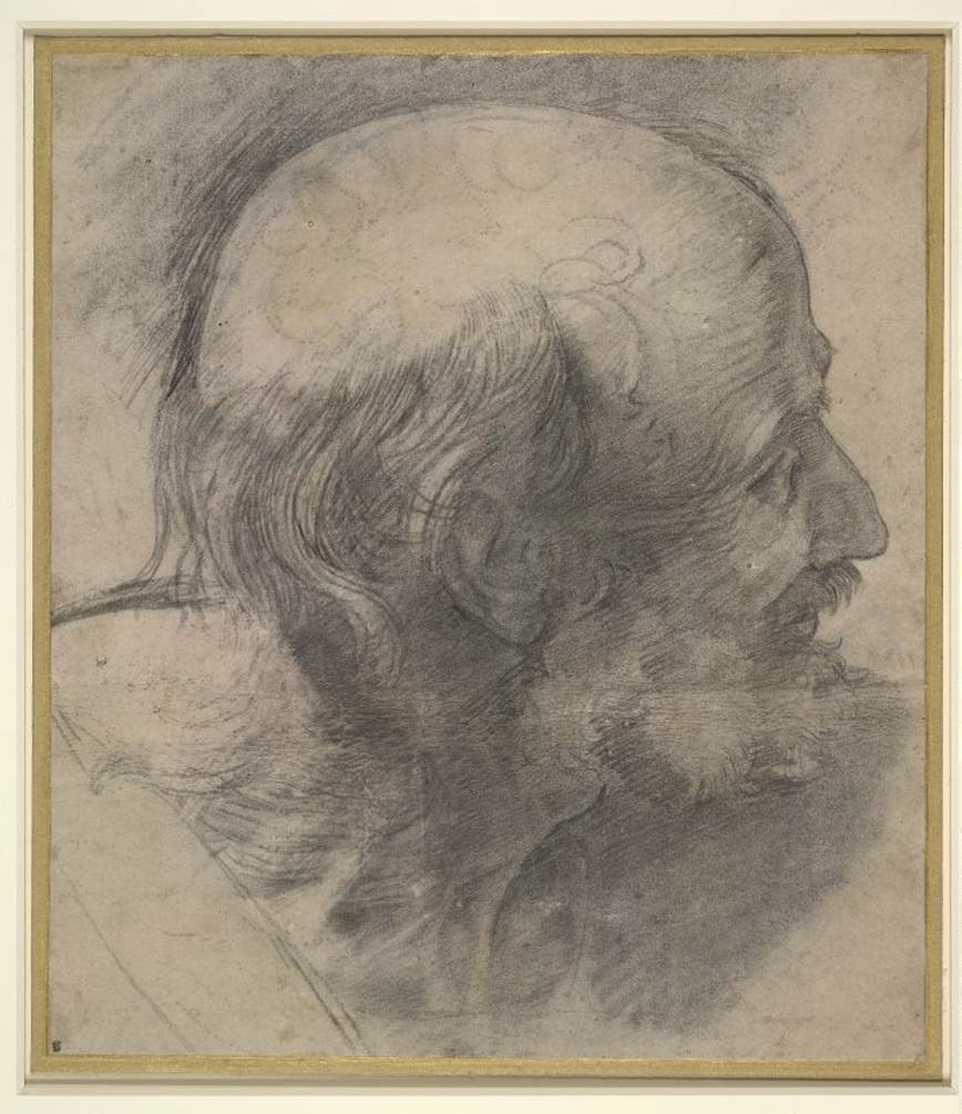 Head of St Andrew by RAFFAELLO Sanzio