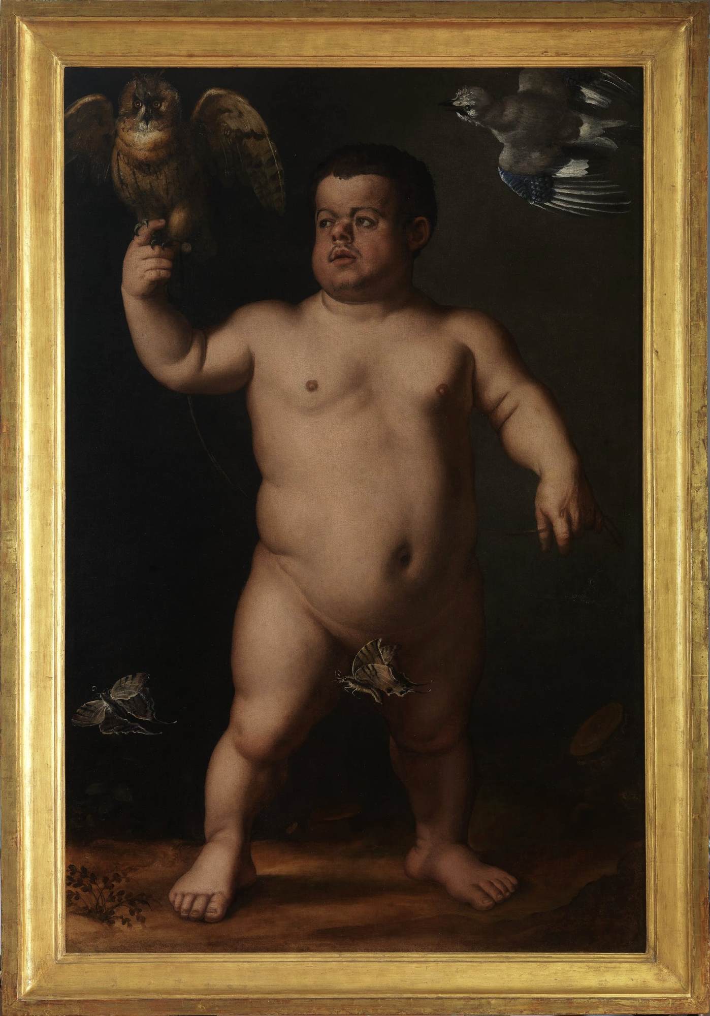 Portrait of the Dwarf Morgante (front) by BRONZINO, Agnolo