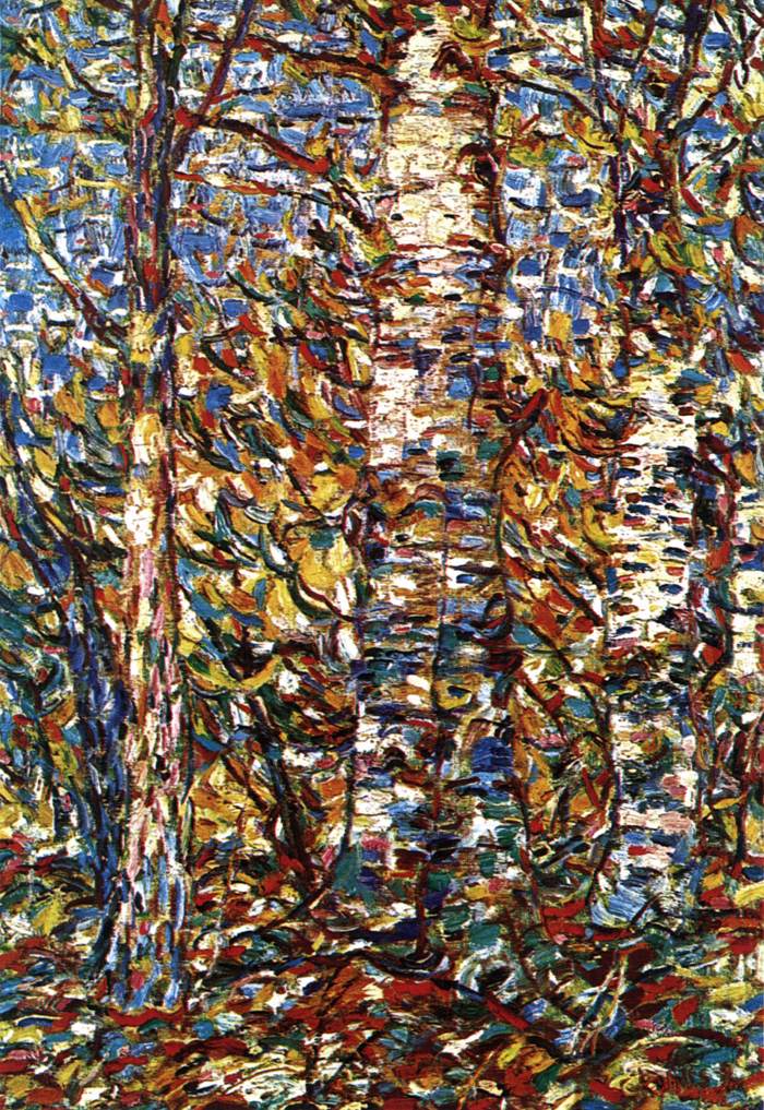 Birch Wood by ROHLFS, Christian