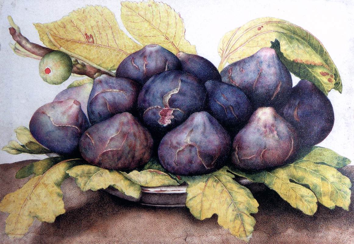 Plate of Figs by