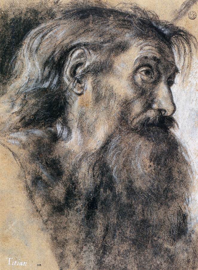 Head of St Jerome by SAVOLDO, Giovanni Girolamo