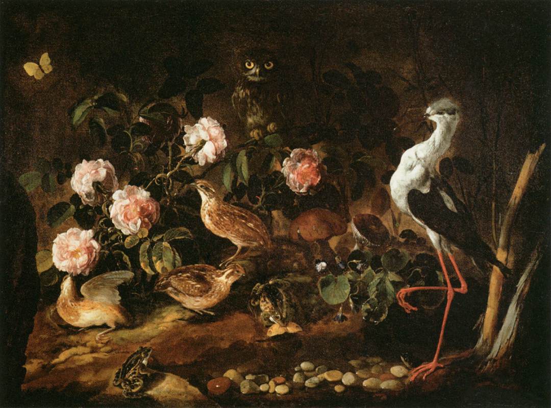 Still-Life with an Owl and an Ibis by PORPORA, Paolo