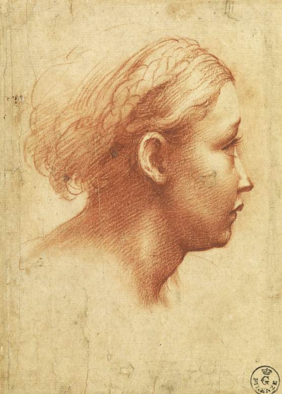 Head of a Girl in Profile by PARMIGIANINO