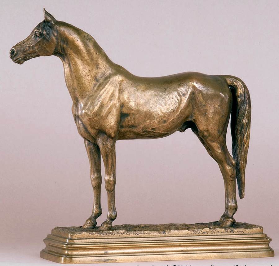 Arab Stallion by DUBUCAND, Alfred