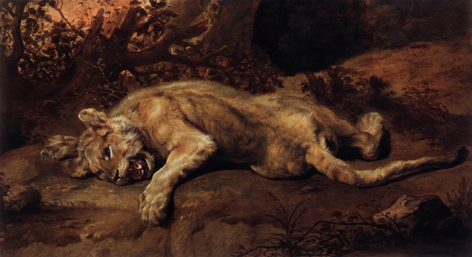 The Lioness by SNYDERS, Frans