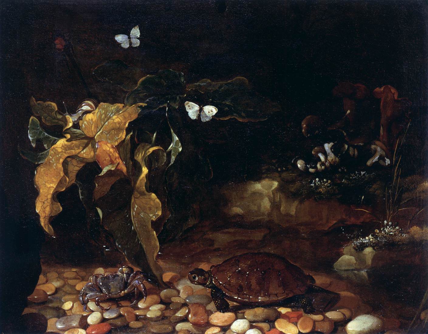 Underbrush with Tortoise and Crab by PORPORA, Paolo