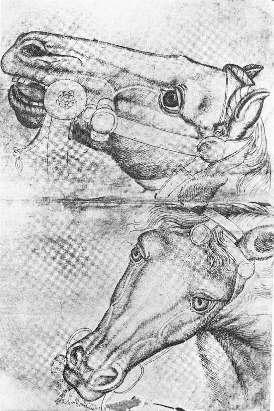 Study of Horse Heads by PISANELLO