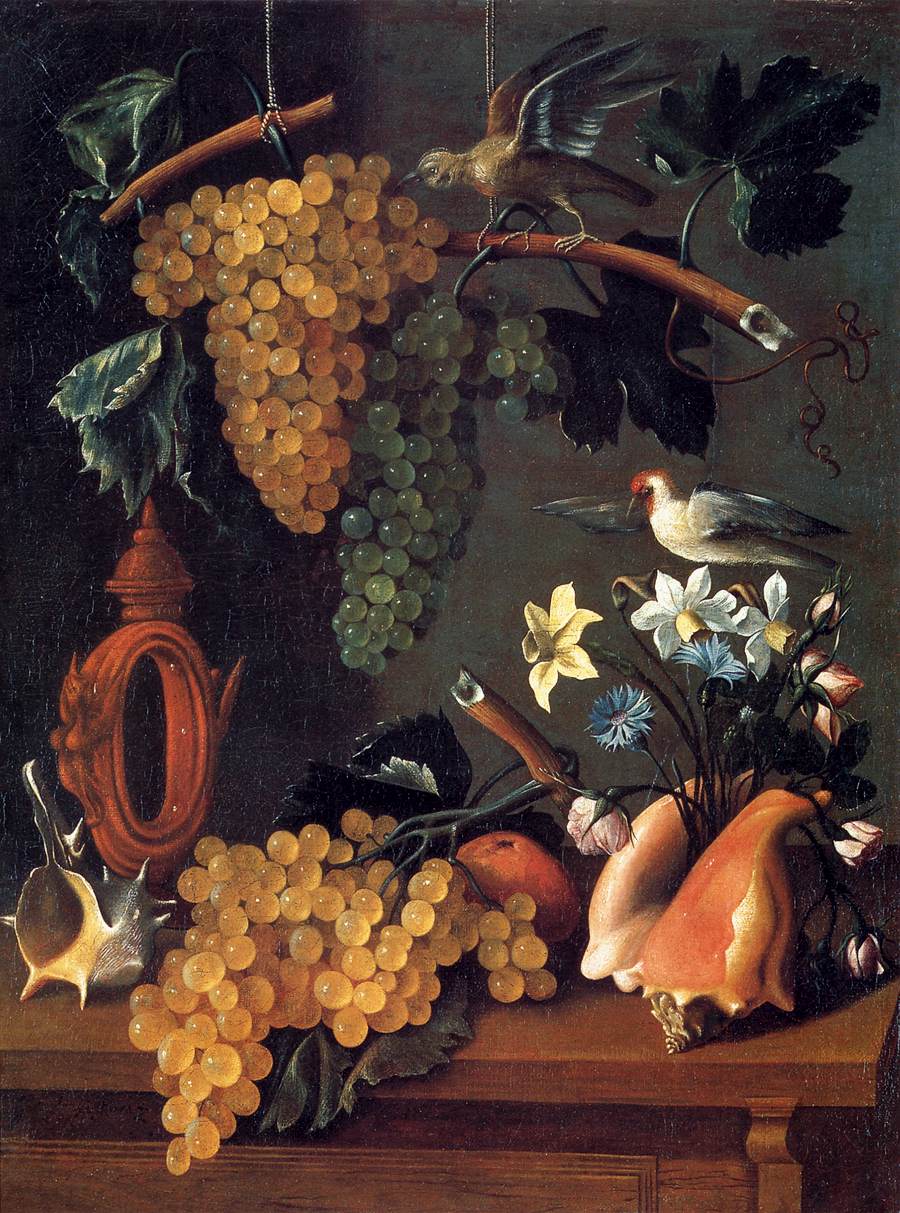 Still-Life with Grapes, Flowers and Shells by