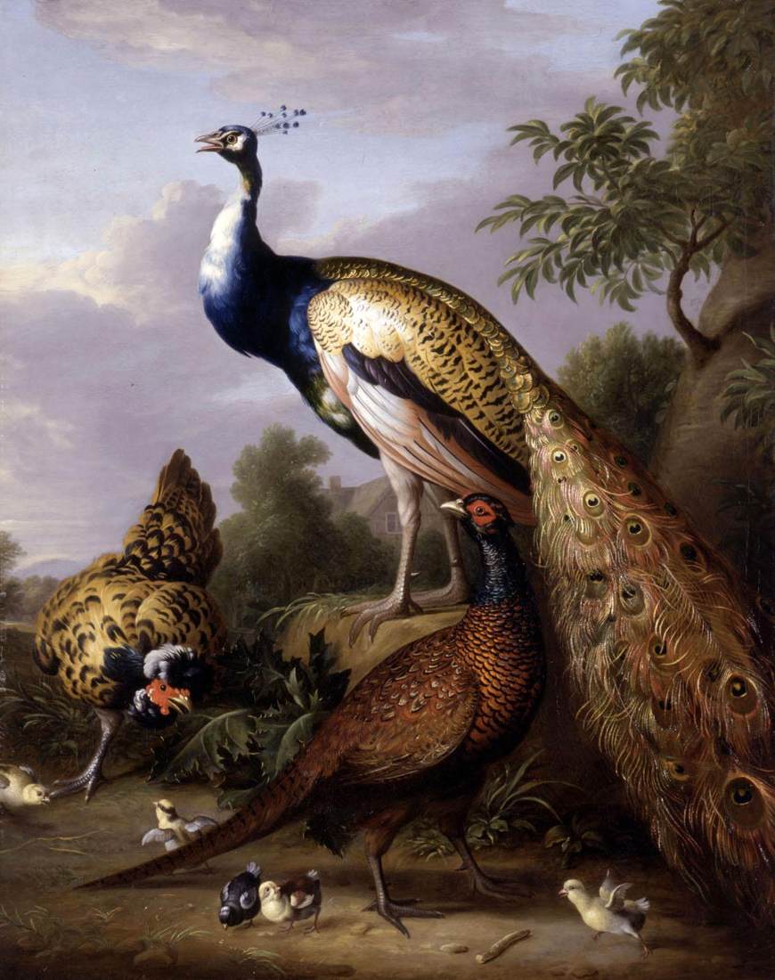 Peacock, Hen and Cock Pheasant in a Landscape by