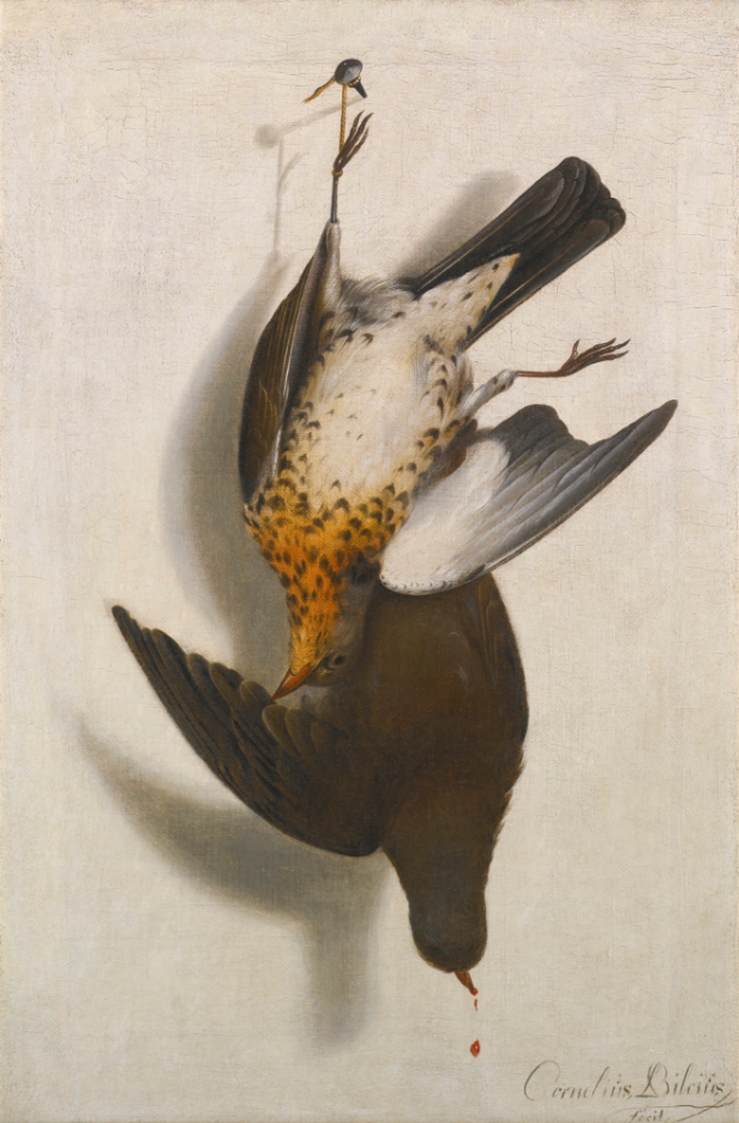 Trompe l'Oeil Still-Life with Two Grouse Hanging from a Nail by BILTIUS, Cornelis